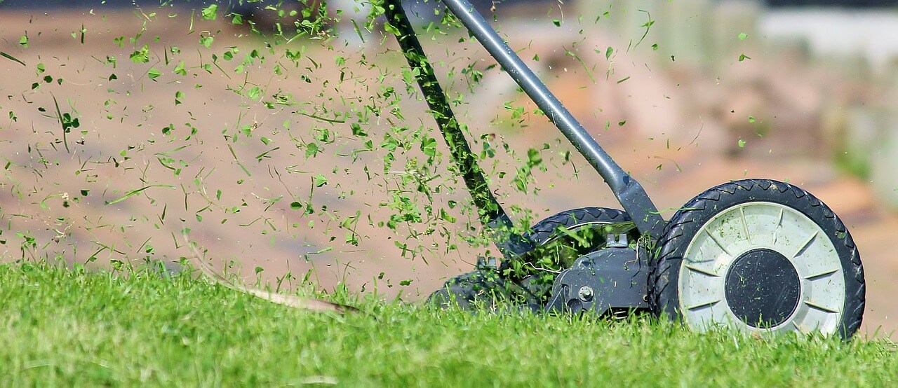 Moet Allerlei soorten Instrueren Gazon maaien - Wanneer, & hoe vaak het gras maaien?