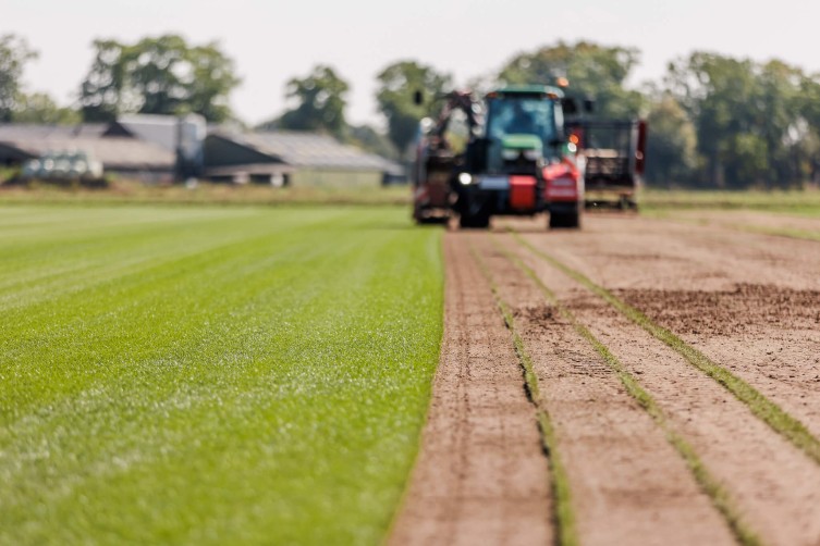 Graszoden bestellen