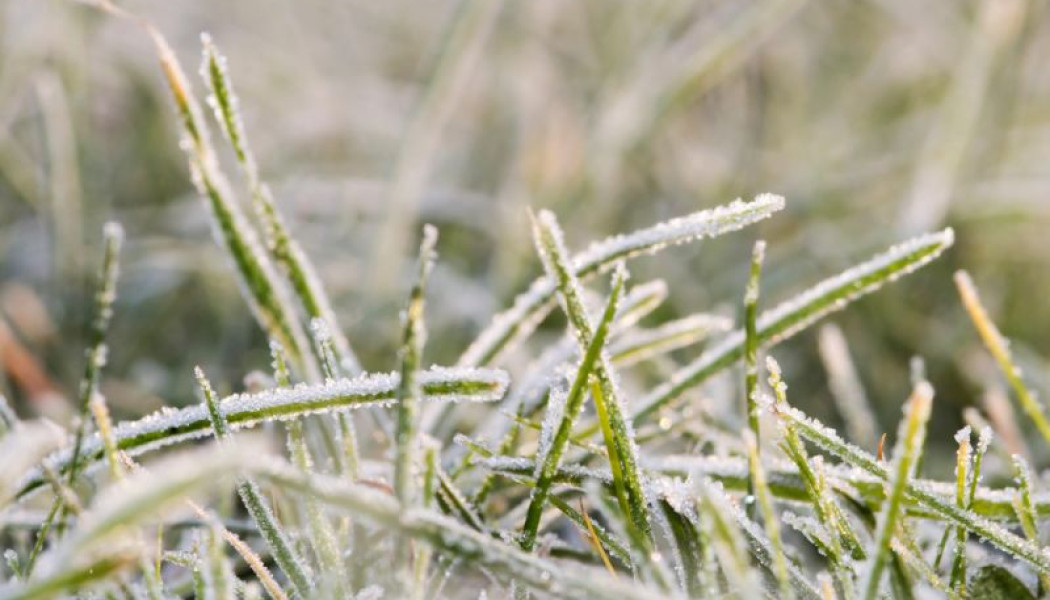 Tuin Winterklaar Maken Hoe Wanneer Je Tuin Gereed Maken